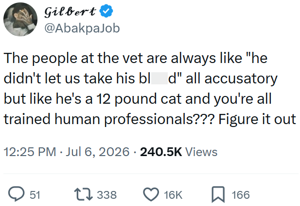 Gilbert @AbakpaJob The people at the vet are always like "he didn't let us take his blod" all accusatory but like he's a 12 pound cat and you're all trained human professionals??? Figure it out 12:25 PM ⚫ Jul 6, 2026 240.5K Views > 51 17 338 16K ☐ 166