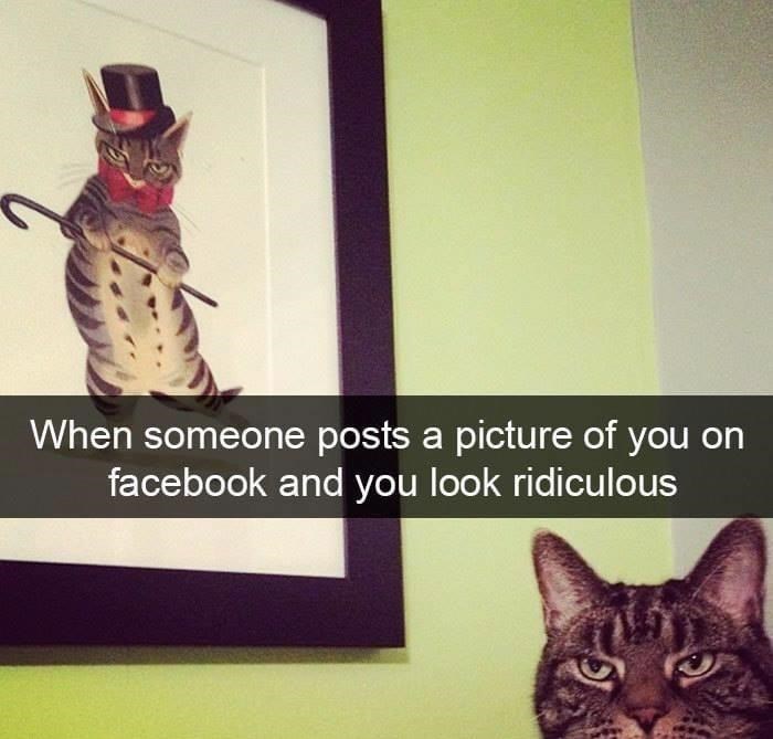 When someone posts a picture of you on facebook and you look ridiculous