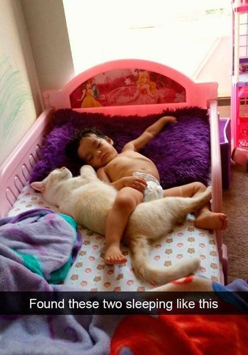 Found these two sleeping like this