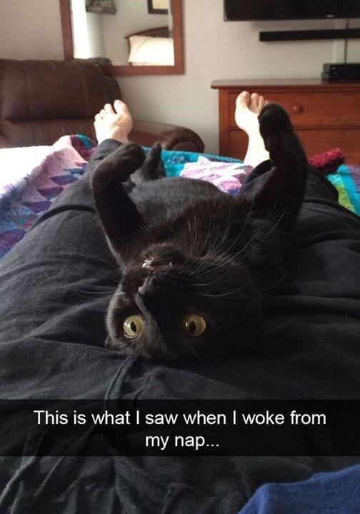 This is what I saw when I woke from my nap...