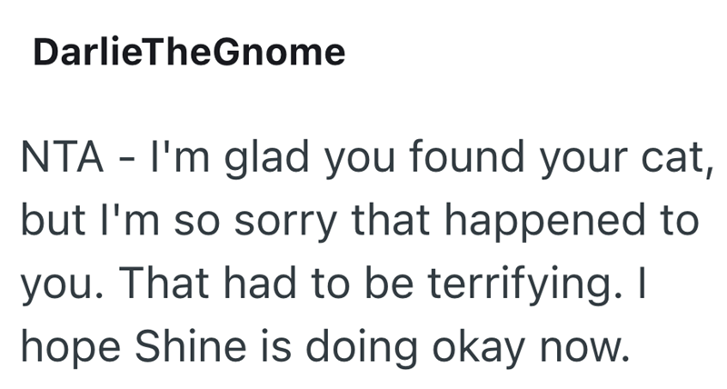 DarlieTheGnome NTA - I'm glad you found your cat, but I'm so sorry that happened to you. That had to be terrifying. I hope Shine is doing okay now.