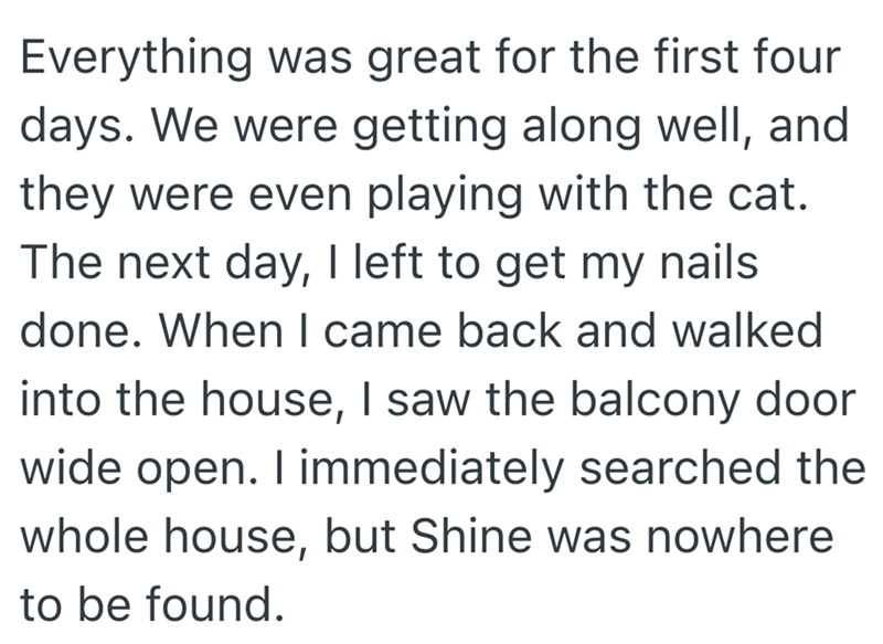 Everything was great for the first four days. We were getting along well, and they were even playing with the cat. The next day, I left to get my nails done. When I came back and walked into the house, I saw the balcony door wide open. I immediately searched the whole house, but Shine was nowhere to be found.