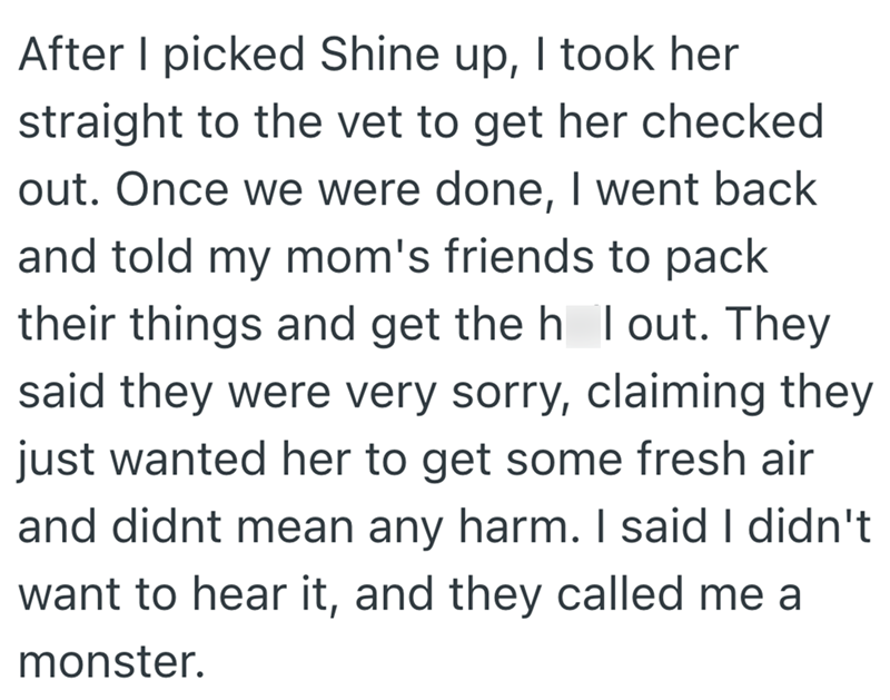 After I picked Shine up, I took her straight to the vet to get her checked out. Once we were done, I went back and told my mom's friends to pack their things and get the h I out. They said they were very sorry, claiming they just wanted her to get some fresh air and didnt mean any harm. I said I didn't want to hear it, and they called me a monster.