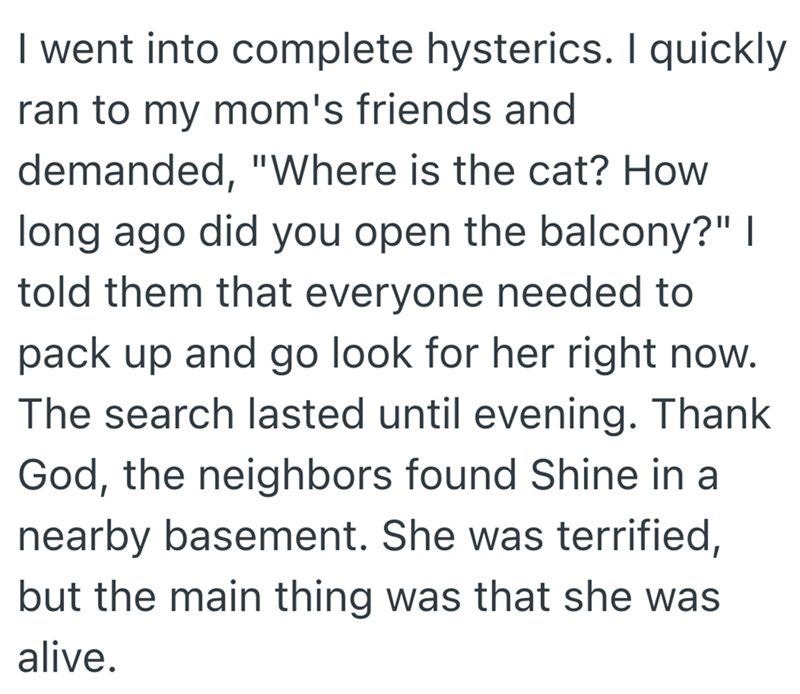 I went into complete hysterics. I quickly ran to my mom's friends and demanded, "Where is the cat? How long ago did you open the balcony?" I told them that everyone needed to pack up and go look for her right now. The search lasted until evening. Thank God, the neighbors found Shine in a nearby basement. She was terrified, but the main thing was that she was alive.