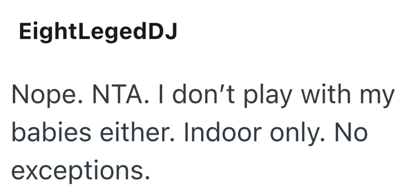EightLeged DJ Nope. NTA. I don't play with my babies either. Indoor only. No exceptions.