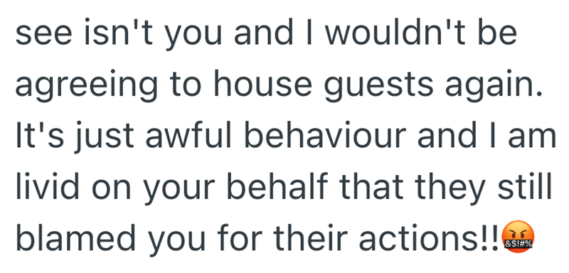 see isn't you and I wouldn't be agreeing to house guests again. It's just awful behaviour and I am livid on your behalf that they still blamed you for their actions!! &$!#%