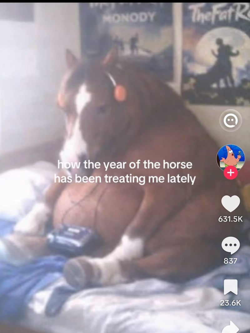 MONODY The Fat R how the year of the horse has been treating me lately + 631.5K 837 23.6K