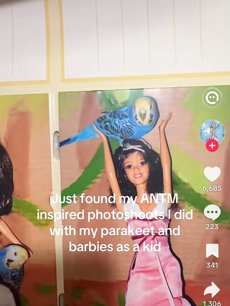 Just found my ANTM inspired photoshoots I did with my parakeet and barbies as a kid + 6,685 223 341 1.306