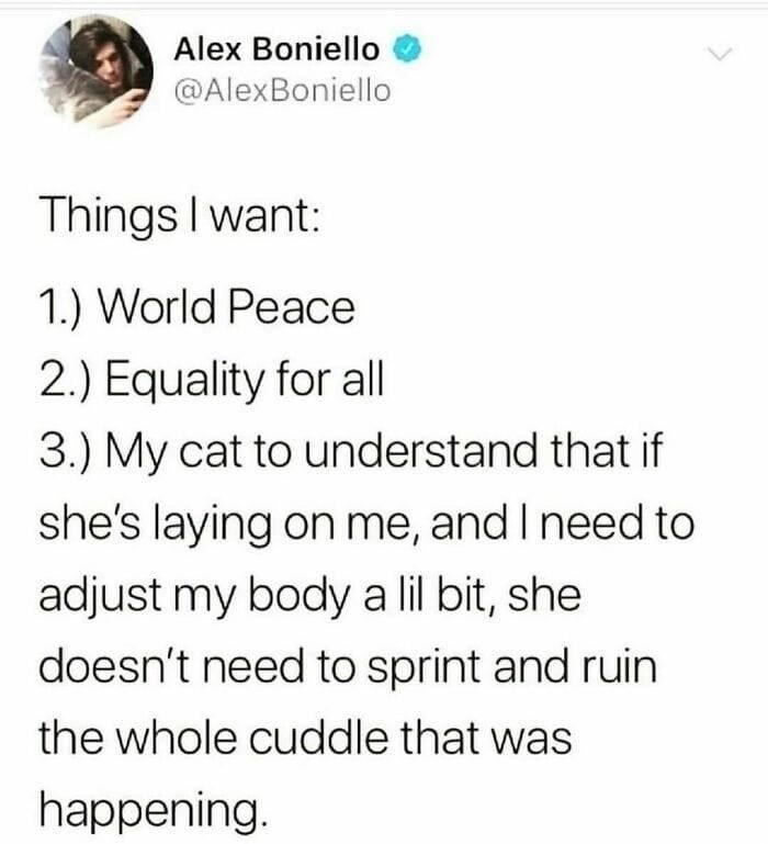 Alex Boniello @AlexBoniello Things I want: 1.) World Peace 2.) Equality for all 3.) My cat to understand that if she's laying on me, and I need to adjust my body a lil bit, she doesn't need to sprint and ruin the whole cuddle that was happening.