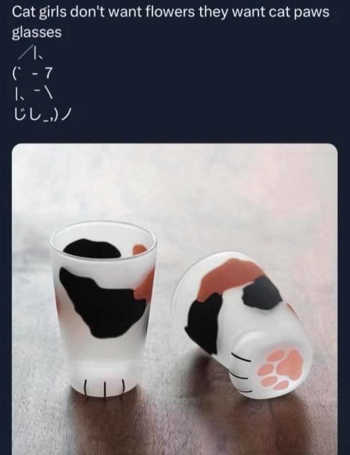 Cat girls don't want flowers they want cat paws glasses 小 (-7 I-\ じし,)ノ