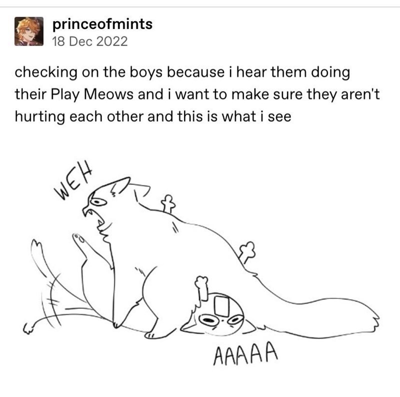princeofmints 18 Dec 2022 checking on the boys because i hear them doing their Play Meows and i want to make sure they aren't hurting each other and this is what i see WEH こ AAAAA