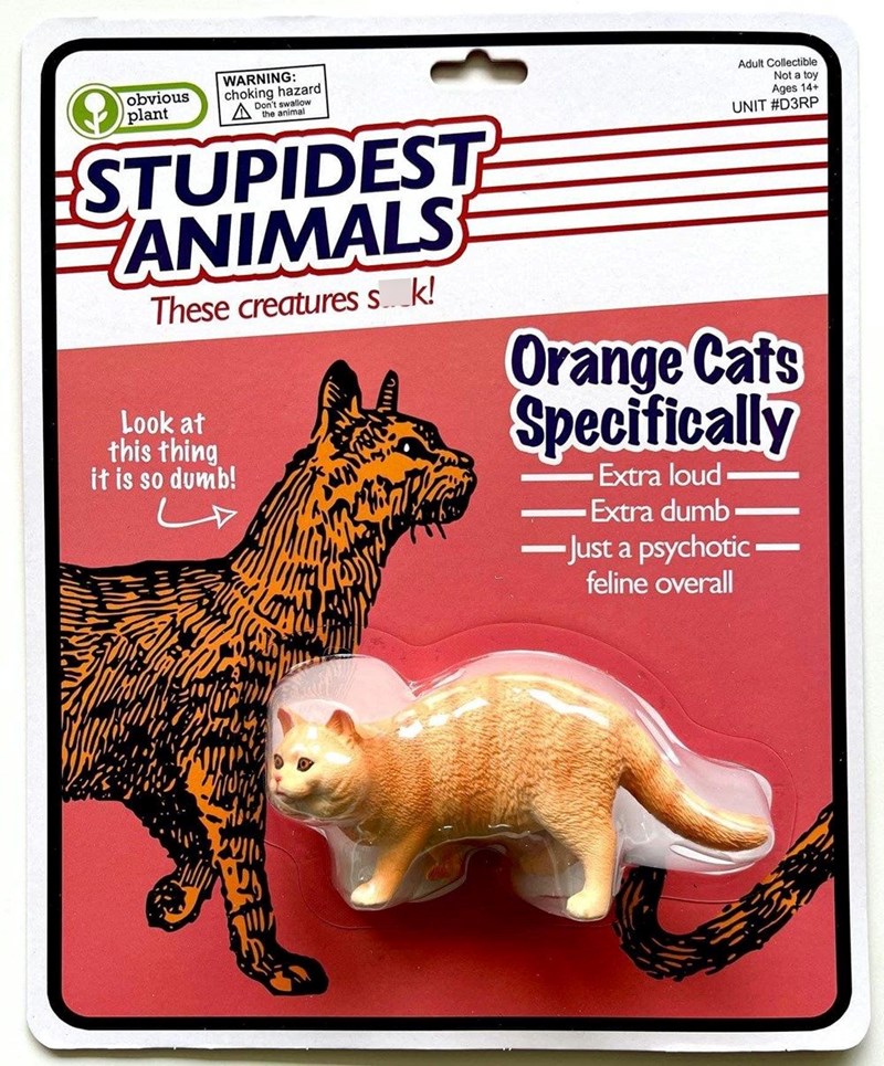 obvious plant WARNING: choking hazard Don't swallow the animal STUPIDEST ANIMALS These creatures sk! Look at this thing it is so dumb! Adult Collectible Not a toy Ages 14+ UNIT #D3RP Orange Cats Specifically Extra loud Extra dumb Just a psychotic- feline overall