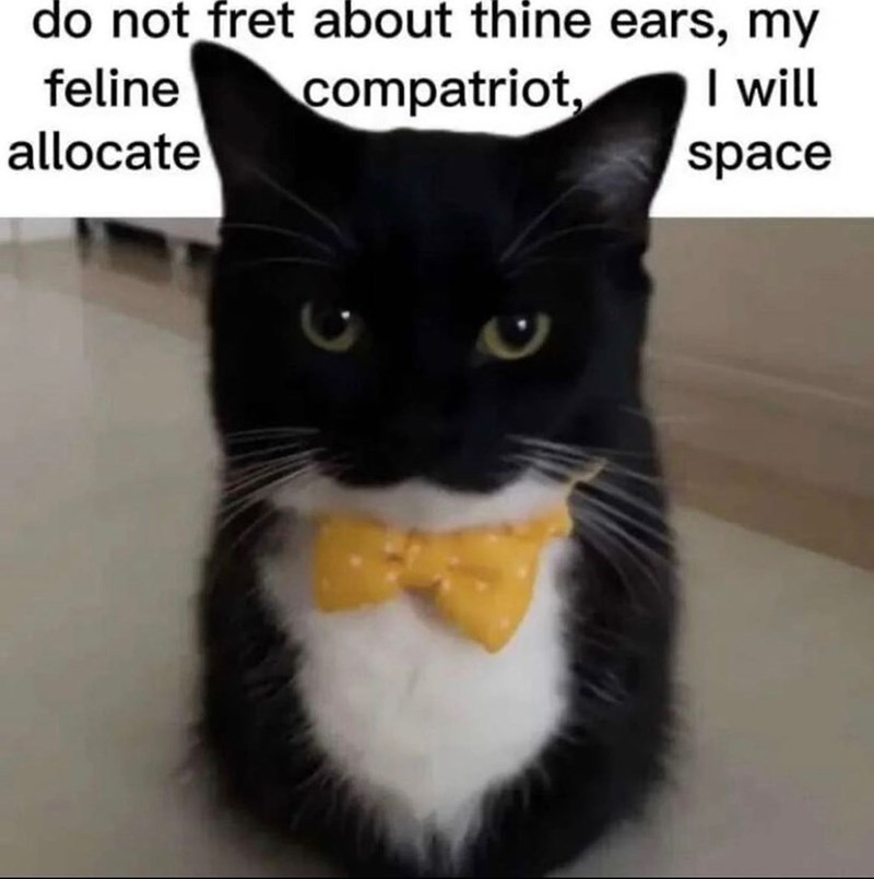 do not fret about thine ears, my feline allocate compatriot, I will space