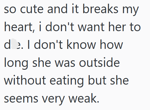 so cute and it breaks my heart, i don't want her to de. I don't know how long she was outside without eating but she seems very weak.