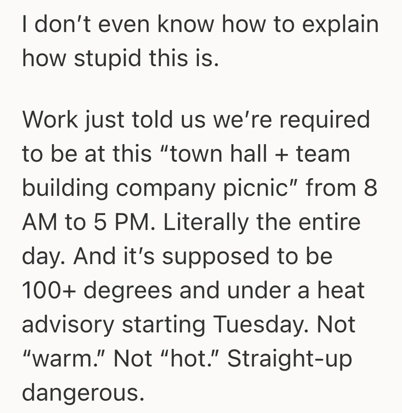 I don't even know how to explain how stupid this is. Work just told us we're required to be at this "town hall + team building company picnic" from 8 AM to 5 PM. Literally the entire day. And it's supposed to be 100+ degrees and under a heat advisory starting Tuesday. Not "warm." Not "hot." Straight-up dangerous.