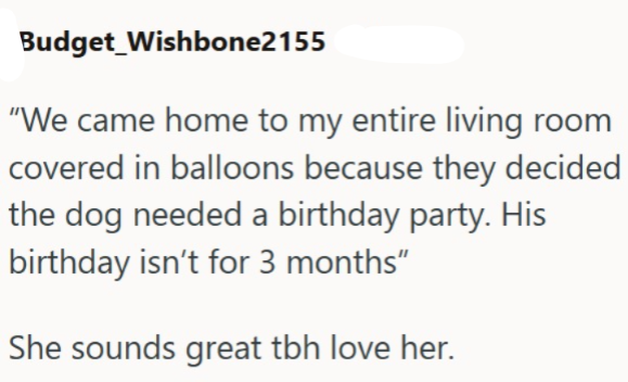 Budget Wishbone2155 "We came home to my entire living room covered in balloons because they decided the dog needed a birthday party. His birthday isn't for 3 months" She sounds great tbh love her.