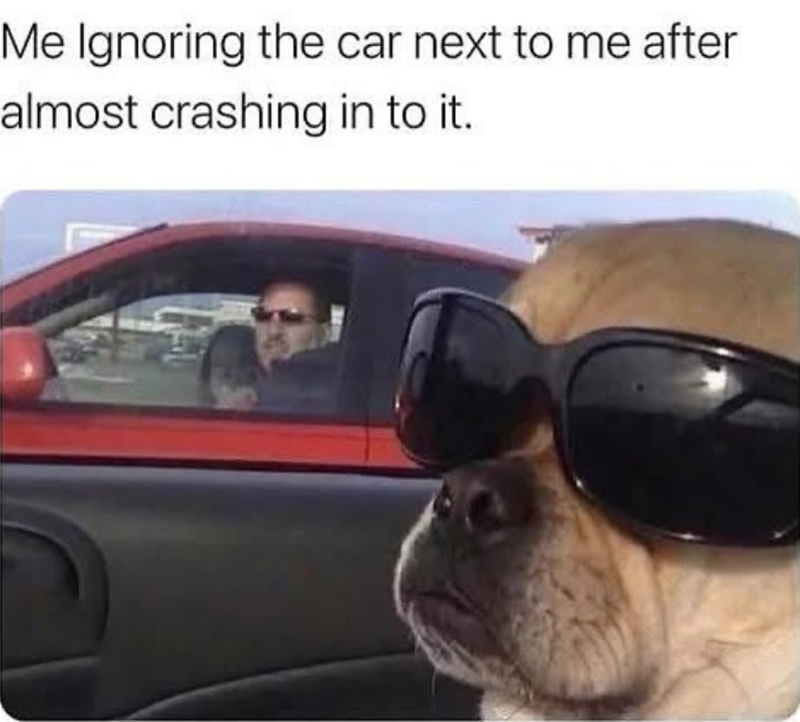 Me Ignoring the car next to me after almost crashing in to it.