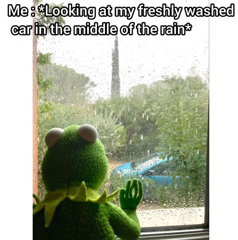Me: *Looking at my freshly washed car in the middle of the rain*