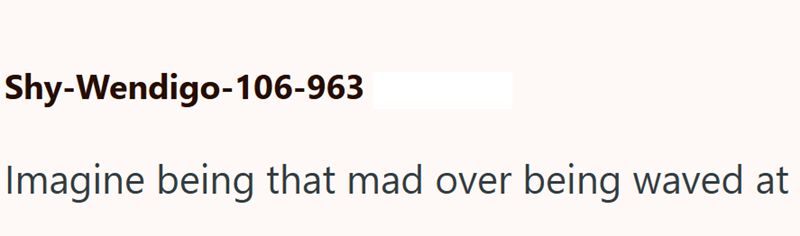 Shy-Wendigo-106-963 Imagine being that mad over being waved at