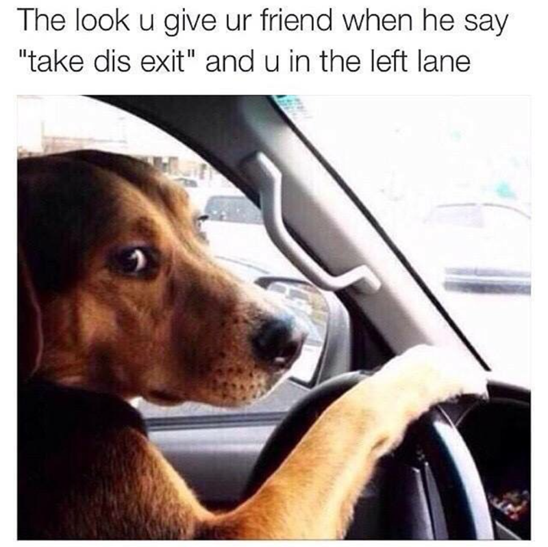 The look u give ur friend when he say "take dis exit" and u in the left lane