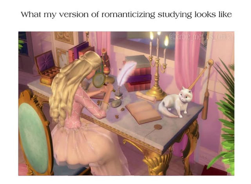 What my version of romanticizing studying looks like @barbie memes ollit fal