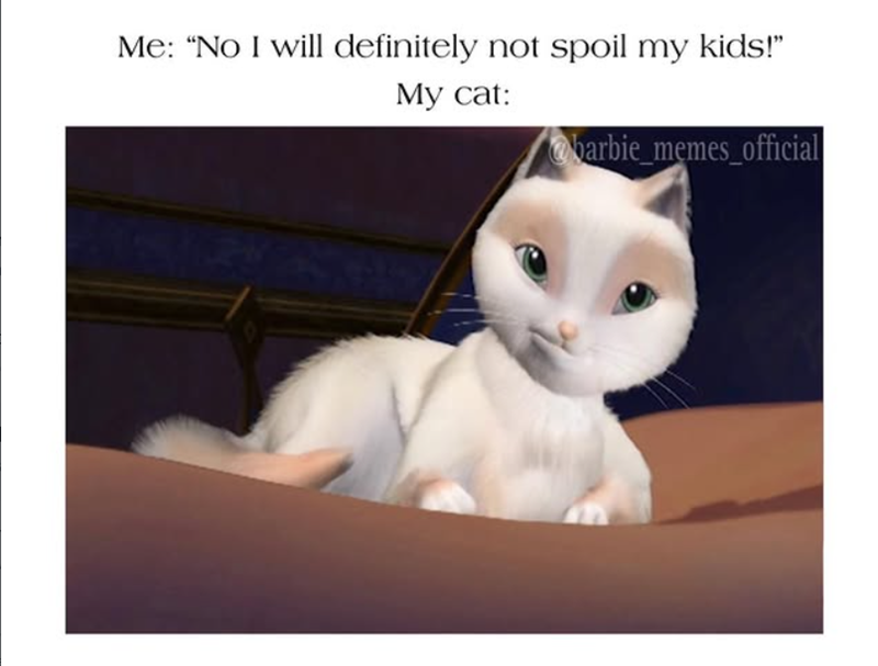 Me: "No I will definitely not spoil my kids!" My cat: barbie_memes_official