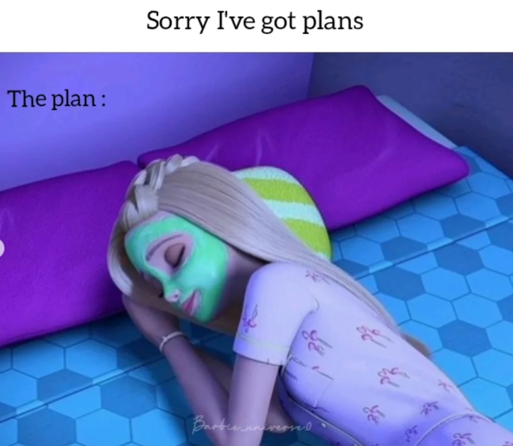 The plan: Sorry I've got plans Barbie incremen مرگ