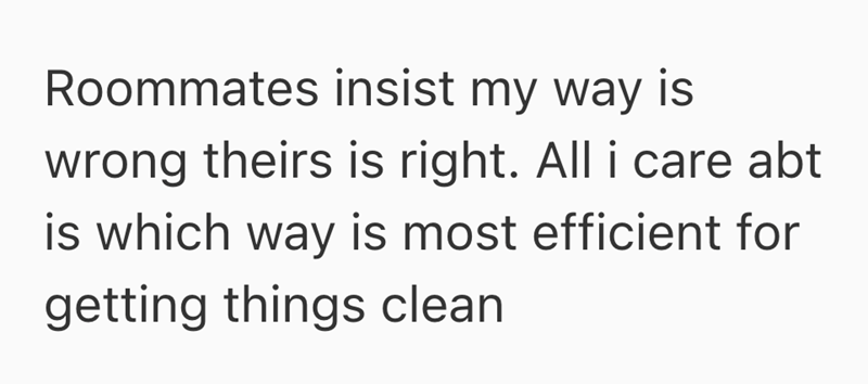 Roommates insist my way is wrong theirs is right. All i care abt is which way is most efficient for getting things clean