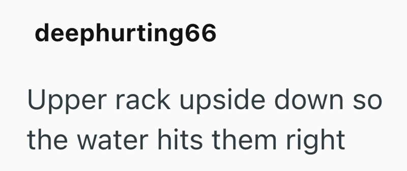 deephurting66 Upper rack upside down so the water hits them right
