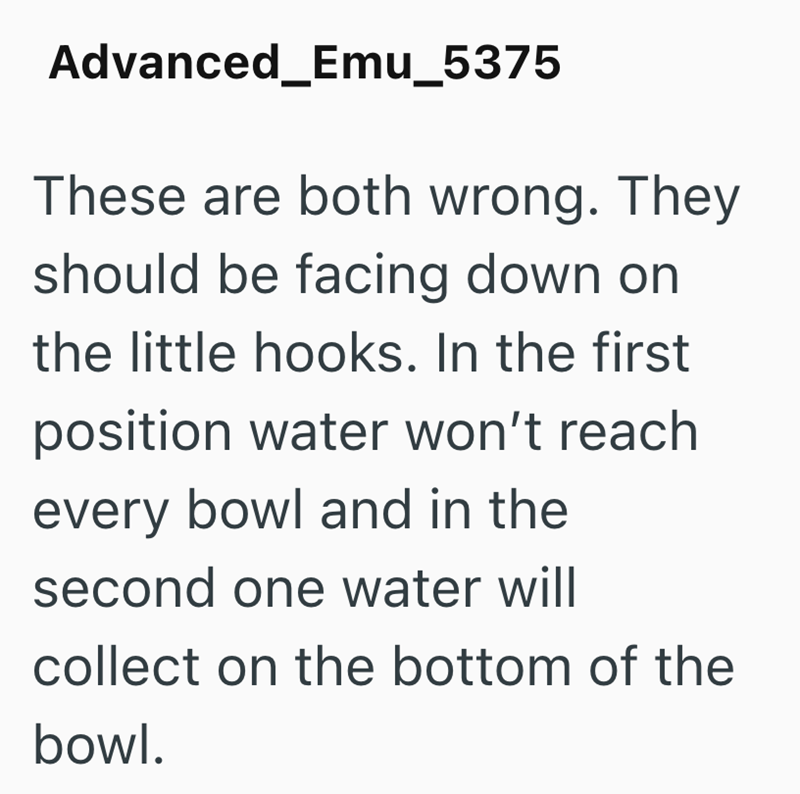 Advanced_Emu_5375 These are both wrong. They should be facing down on the little hooks. In the first position water won't reach every bowl and in the second one water will collect on the bottom of the bowl.