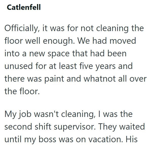 Catlenfell Officially, it was for not cleaning the floor well enough. We had moved into a new space that had been unused for at least five years and there was paint and whatnot all over the floor. My job wasn't cleaning, I was the second shift supervisor. They waited until my boss was on vacation. His