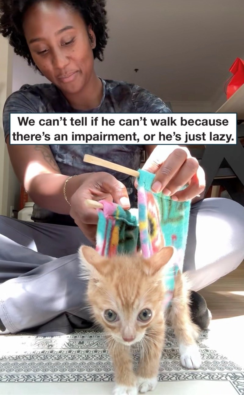 We can't tell if he can't walk because there's an impairment, or he's just lazy. 254294 359535S
