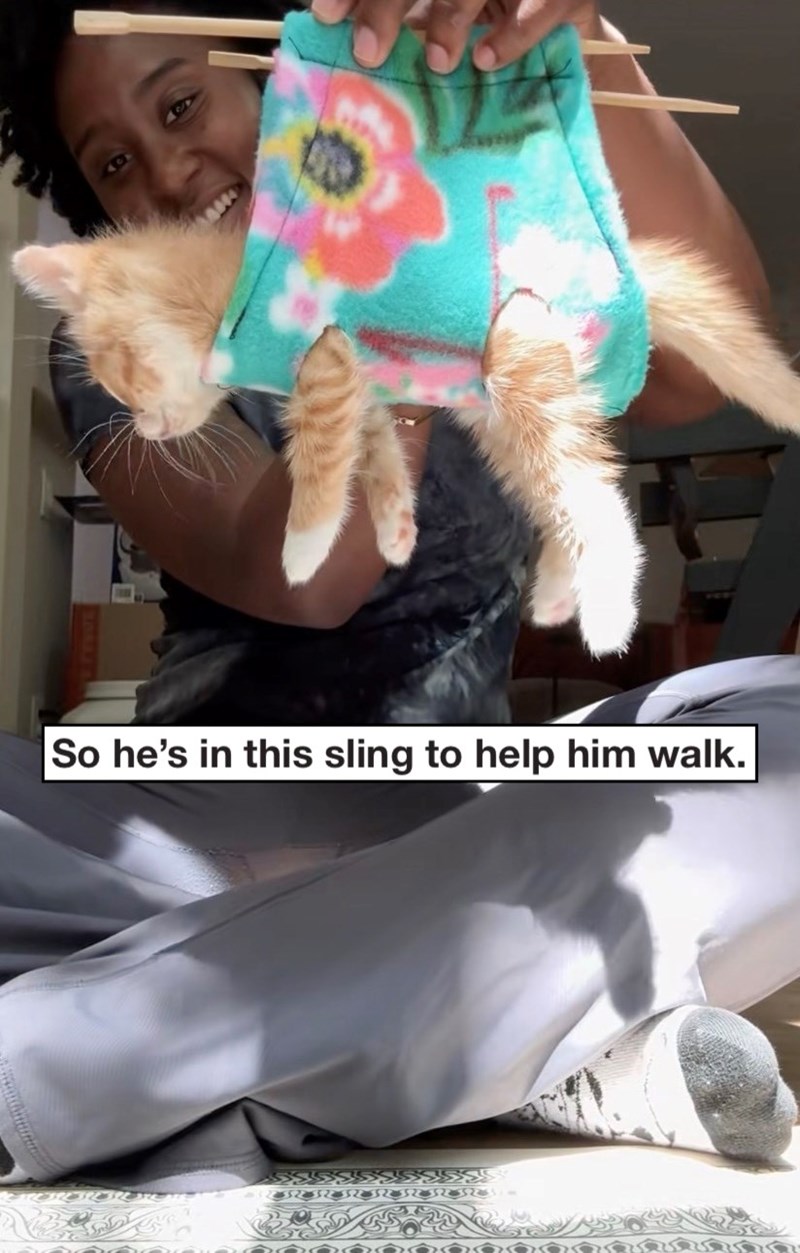 So he's in this sling to help him walk.