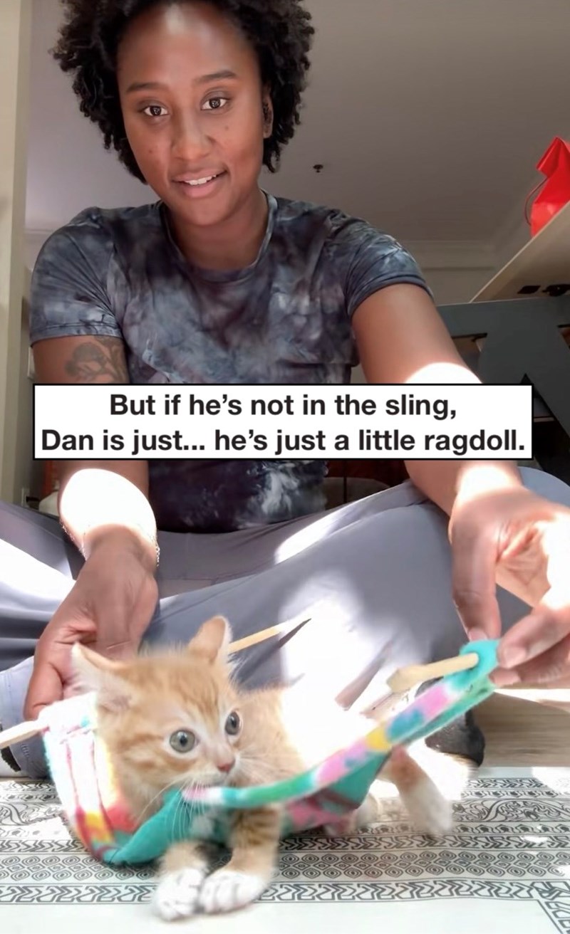But if he's not in the sling, Dan is just... he's just a little ragdoll. 2227 32