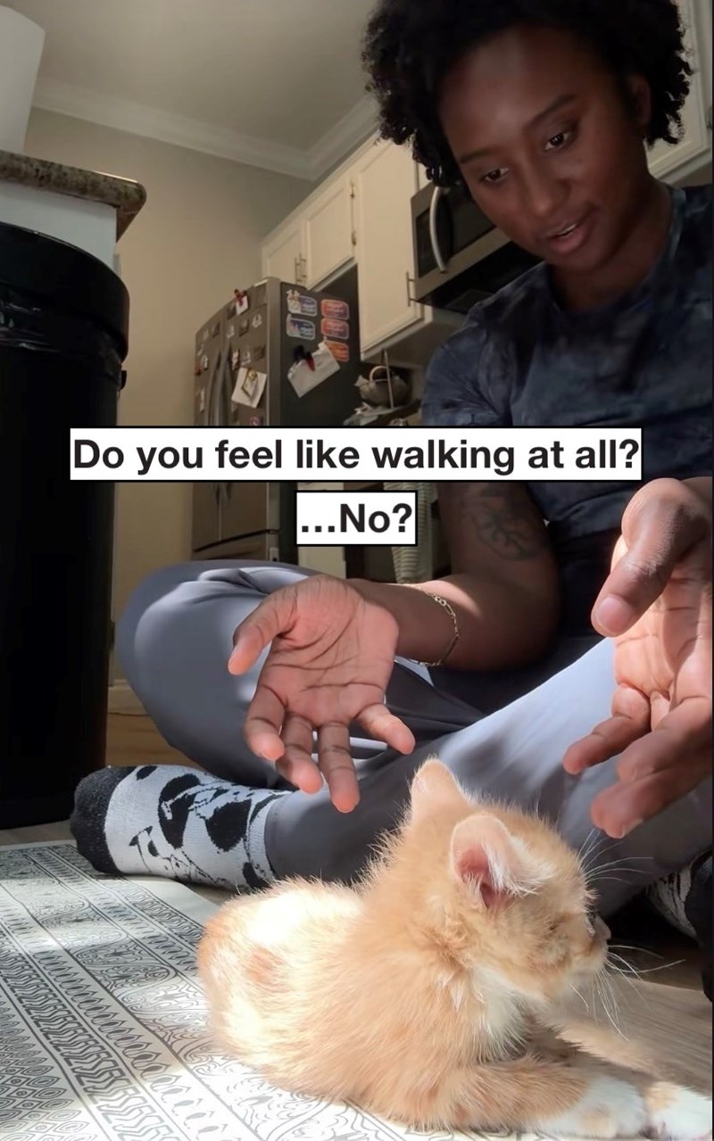 Do you feel like walking at all? ...No?