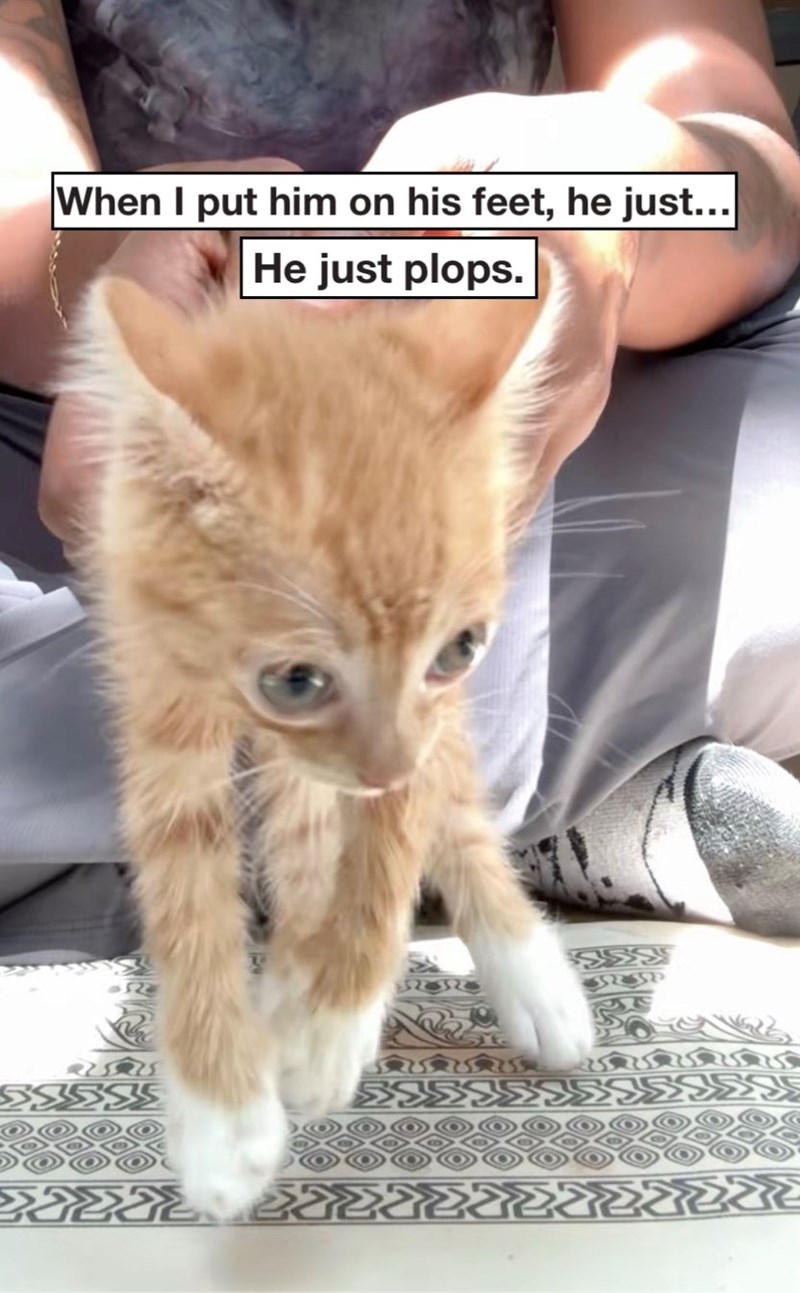 When I put him on his feet, he just... He just plops. 3585 38555 32 K