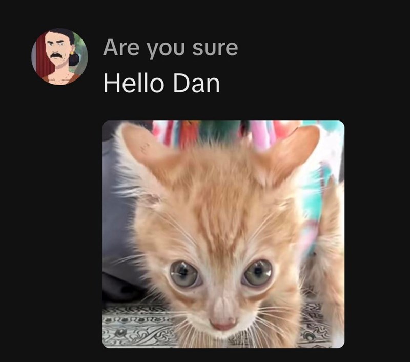 Are you sure Hello Dan 55555 73232323