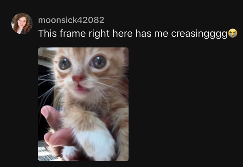 moonsick42082 This frame right here has me creasingggg