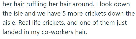 her hair ruffling her hair around. I look down the isle and we have 5 more crickets down the aisle. Real life crickets, and one of them just landed in my co-workers hair.