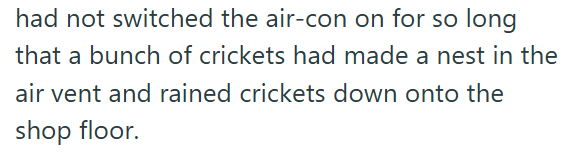 had not switched the air-con on for so long that a bunch of crickets had made a nest in the air vent and rained crickets down onto the shop floor.