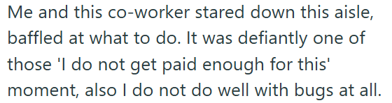 Me and this co-worker stared down this aisle, baffled at what to do. It was defiantly one of those 'l do not get paid enough for this' moment, also I do not do well with bugs at all.