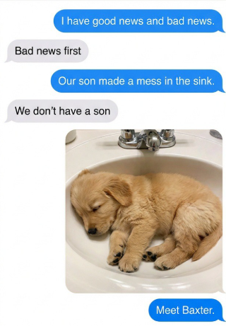 I have good news and bad news. Bad news first Our son made a mess in the sink. We don't have a son Meet Baxter.
