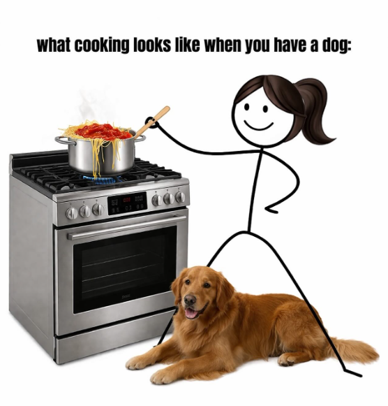 what cooking looks like when you have a dog: