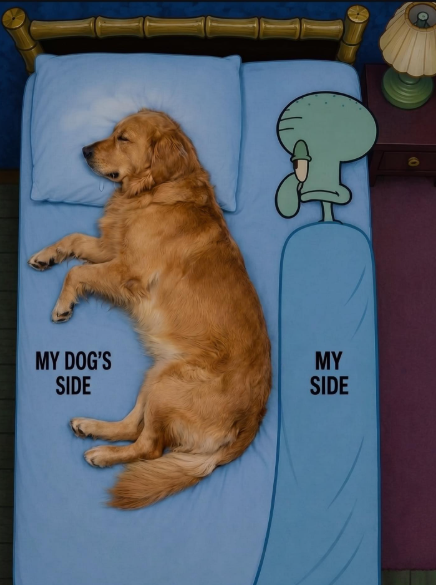MY DOG'S SIDE MY SIDE