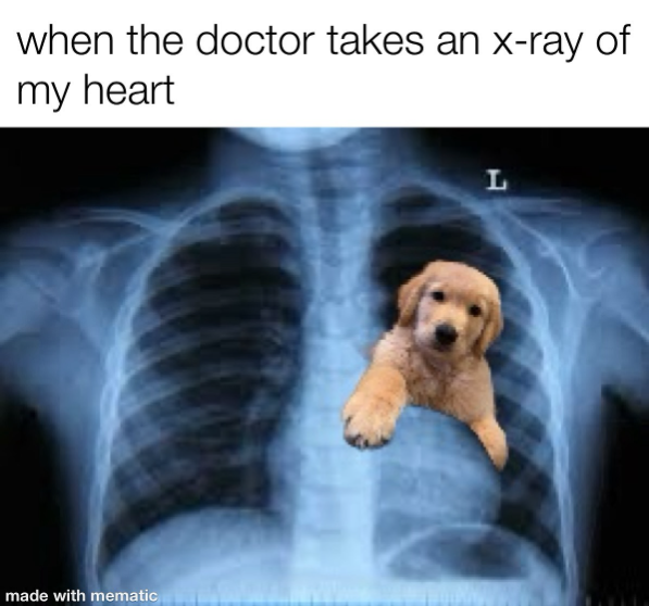 when the doctor takes an x-ray of my heart made with mematic L