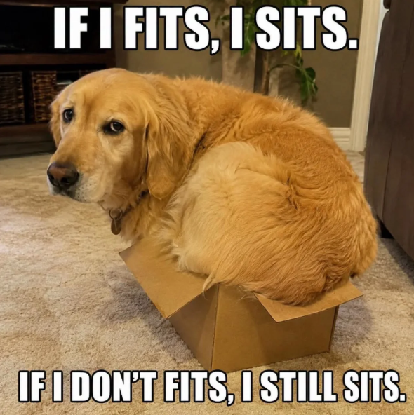 IF I FITS, I SITS. IF I DON'T FITS, I STILL SITS.