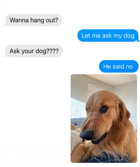 Wanna hang out? Ask your dog???? Let me ask my dog He said no