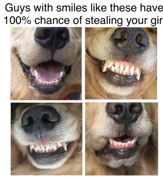 Guys with smiles like these have 100% chance of stealing your gir