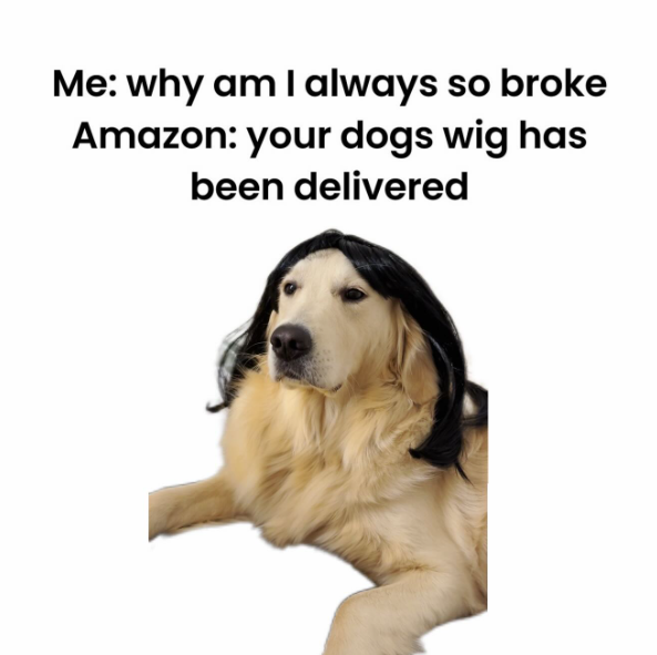 Me: why am I always so broke Amazon: your dogs wig has been delivered