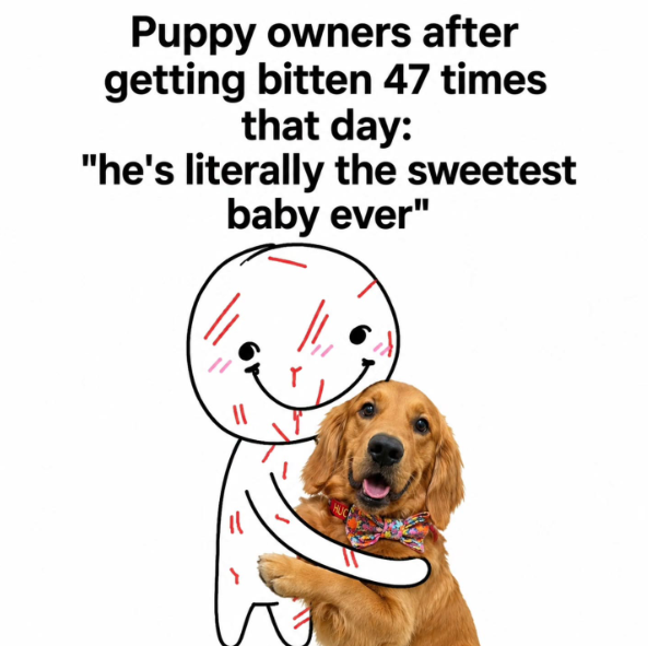 Puppy owners after getting bitten 47 times that day: "he's literally the sweetest baby ever"